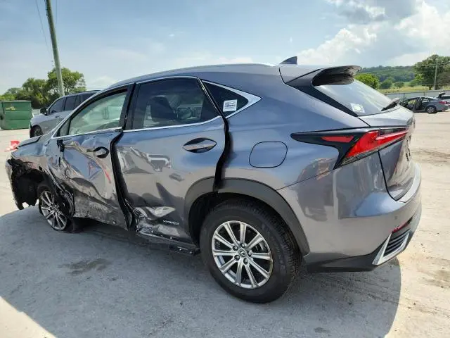 2019 LEXUS NX 300H  