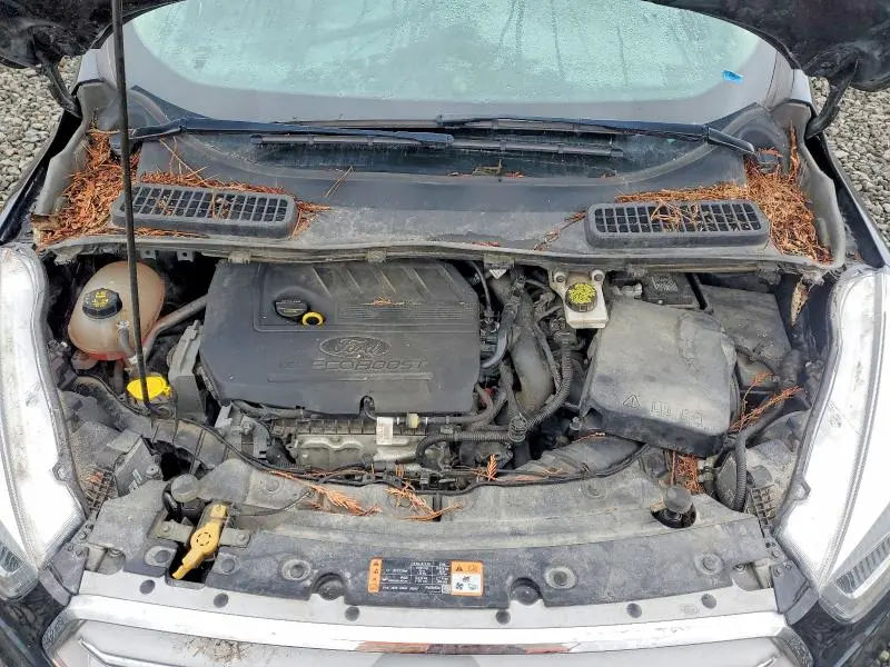 2019 FORD ESCAPE SEL  