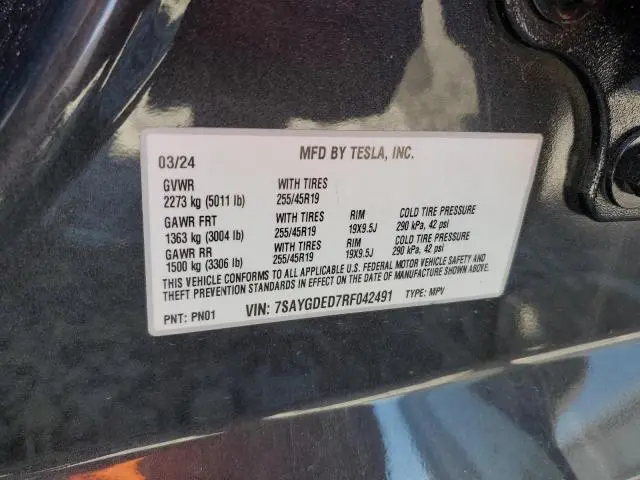 2024 TESLA MODEL Y 