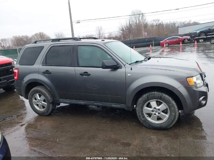 2010 FORD ESCAPE XLT