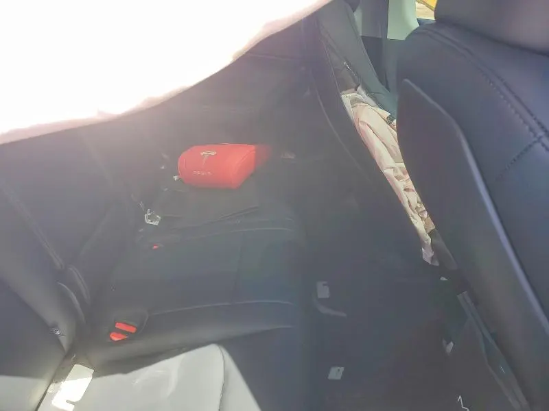 2025 TESLA MODEL Y   