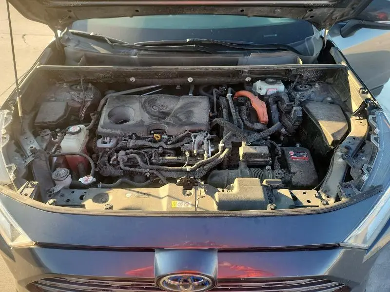 2019 TOYOTA RAV4 XSE  