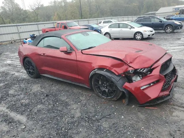 2019 FORD MUSTANG   