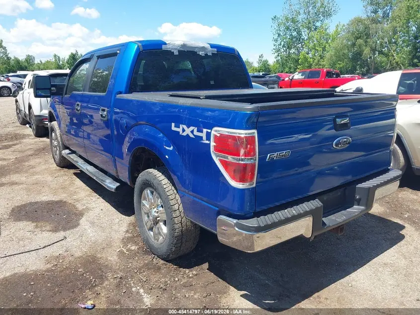 2010 FORD F-150 XL/XLT