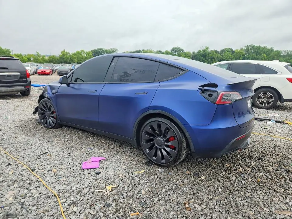 2024 TESLA MODEL Y   