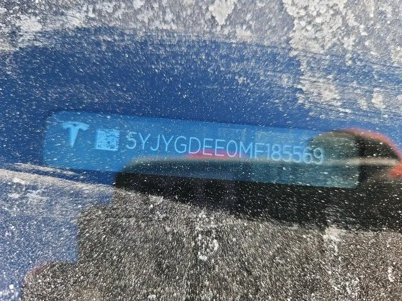 2021 TESLA MODEL Y   