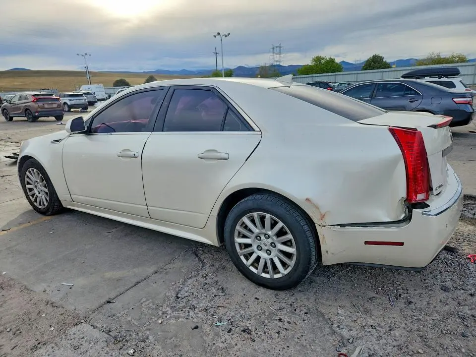 2010 CADILLAC CTS PERFORMANCE COLLECTION  
