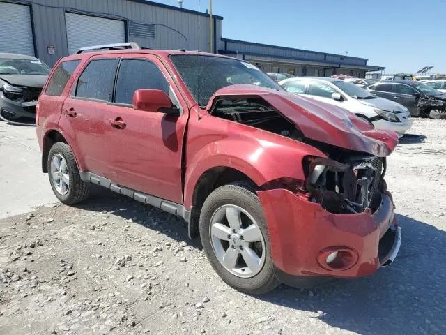 2010 FORD ESCAPE LIMITED