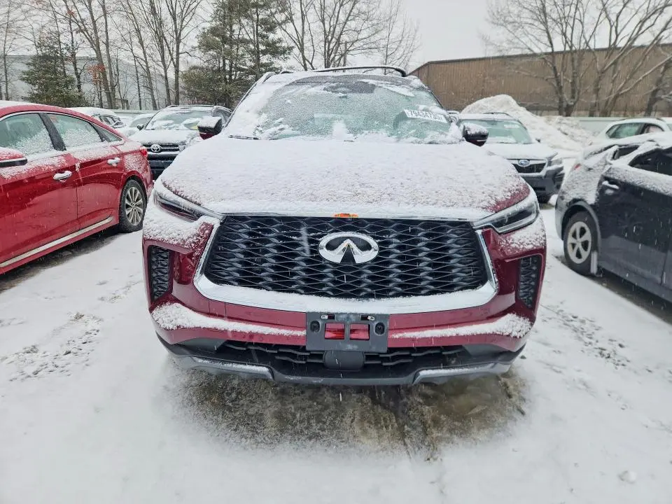 2024 INFINITI QX60 AUTOGRAPH  