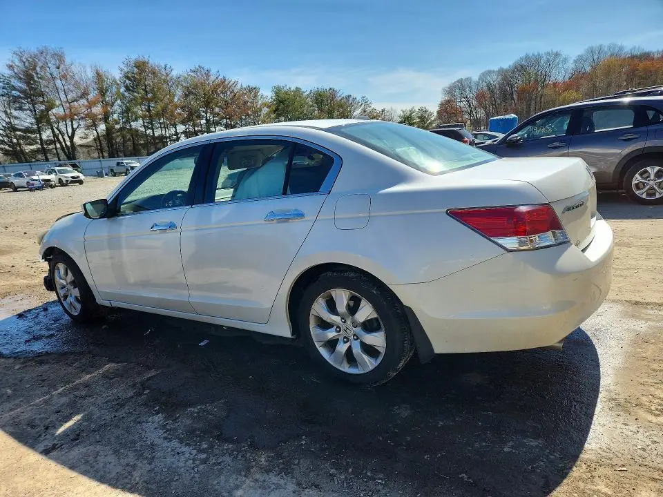 2010 HONDA ACCORD EXL  