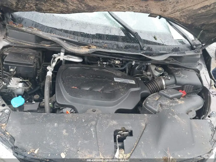 2019 HONDA ODYSSEY ELITE