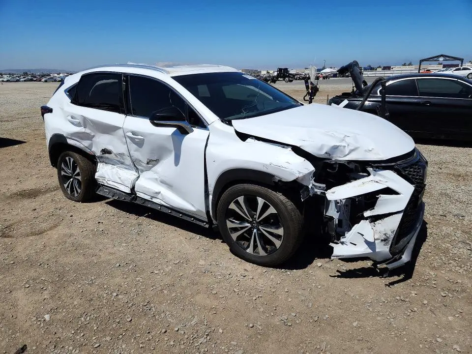 2019 LEXUS NX 300 F SPORT  