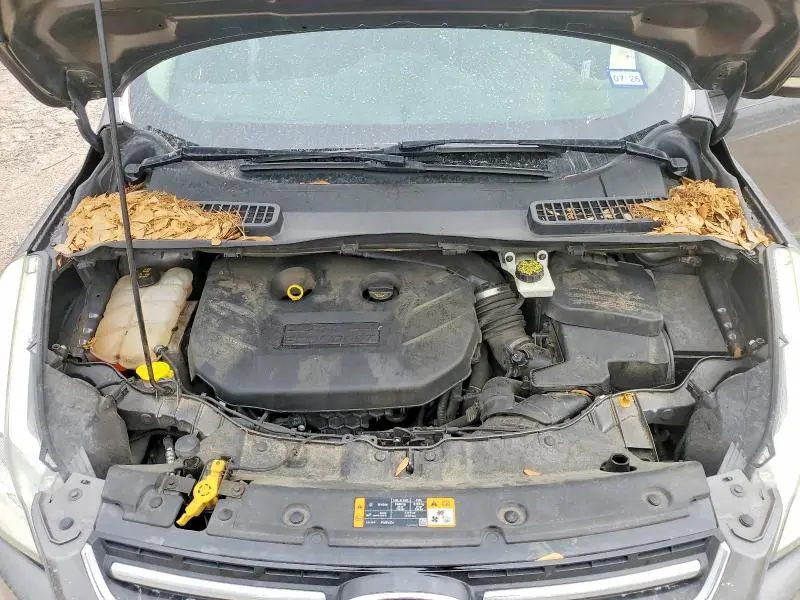 2014 FORD ESCAPE TITANIUM  