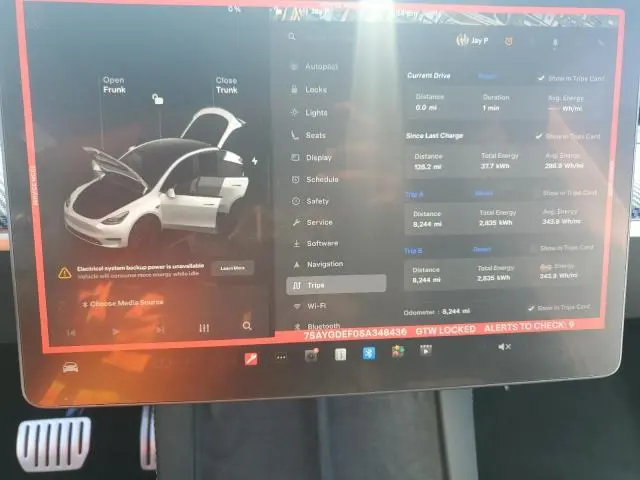 2025 TESLA MODEL Y   