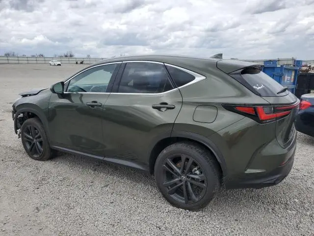 2024 LEXUS NX 450H LUXURY  