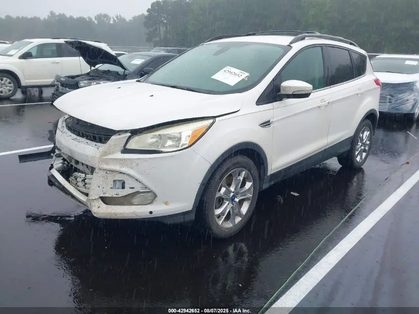 2013 FORD ESCAPE SEL