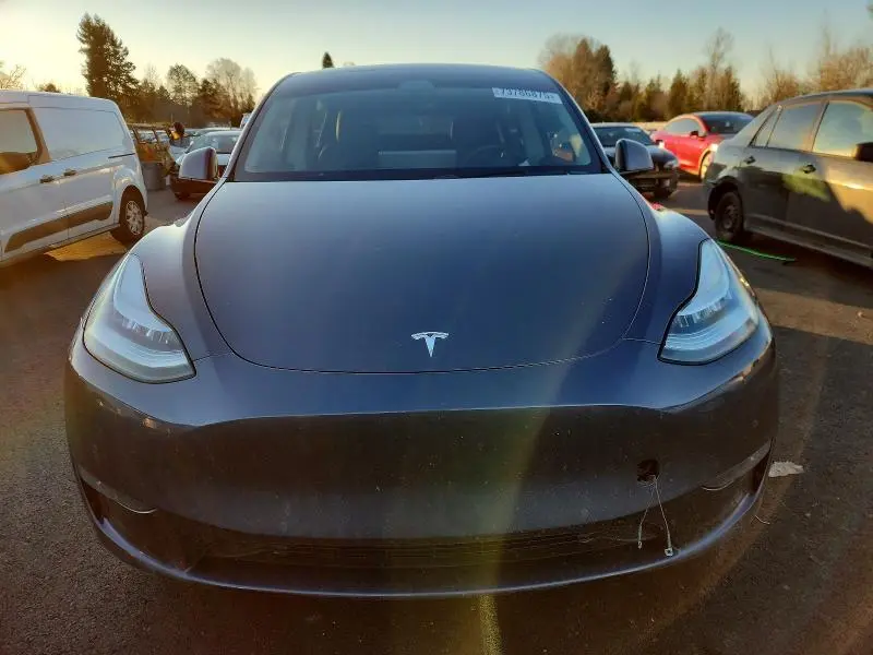 2020 TESLA MODEL Y   