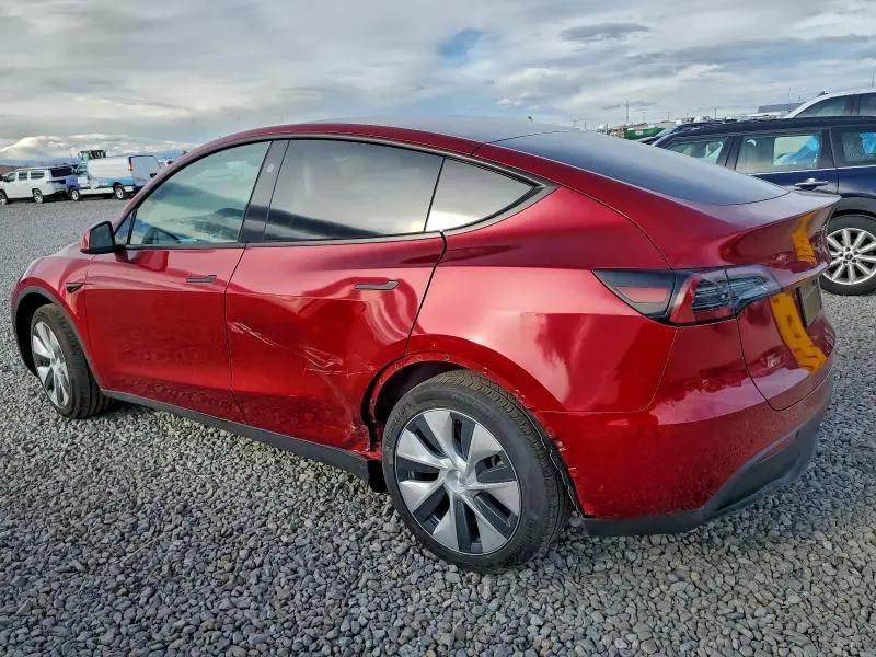 2024 TESLA MODEL Y   