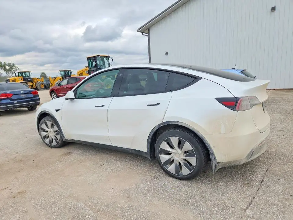 2021 TESLA MODEL Y   