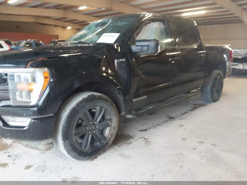 2023 FORD F-150 XLT