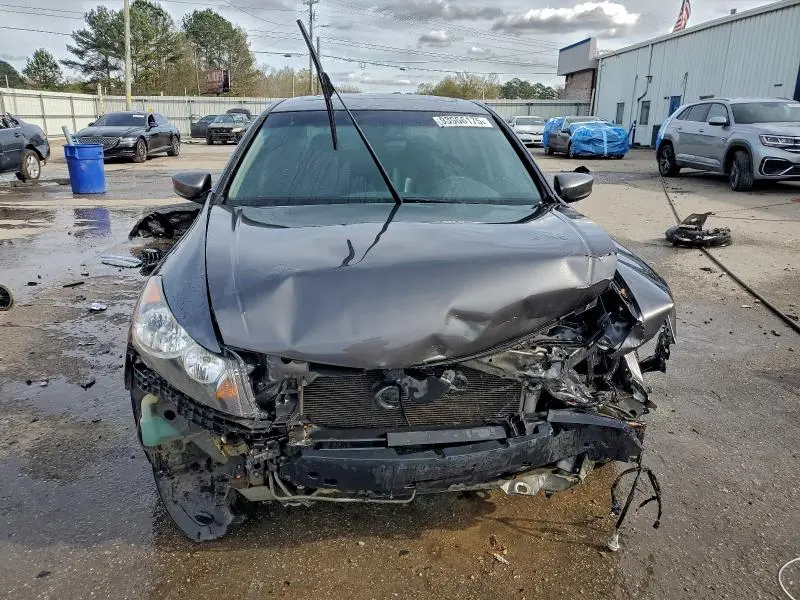 2010 HONDA ACCORD EXL  