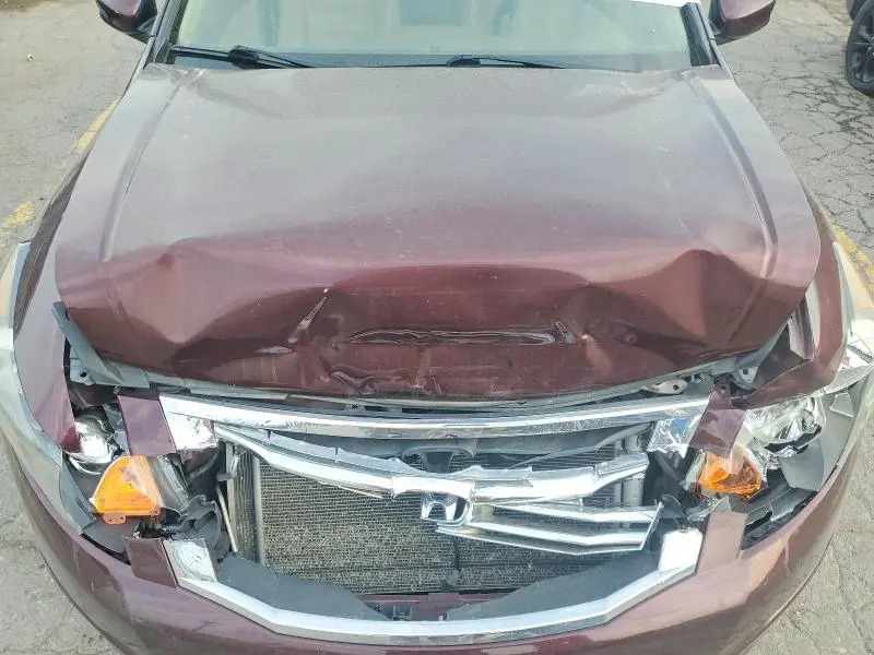 2010 HONDA ACCORD EXL  
