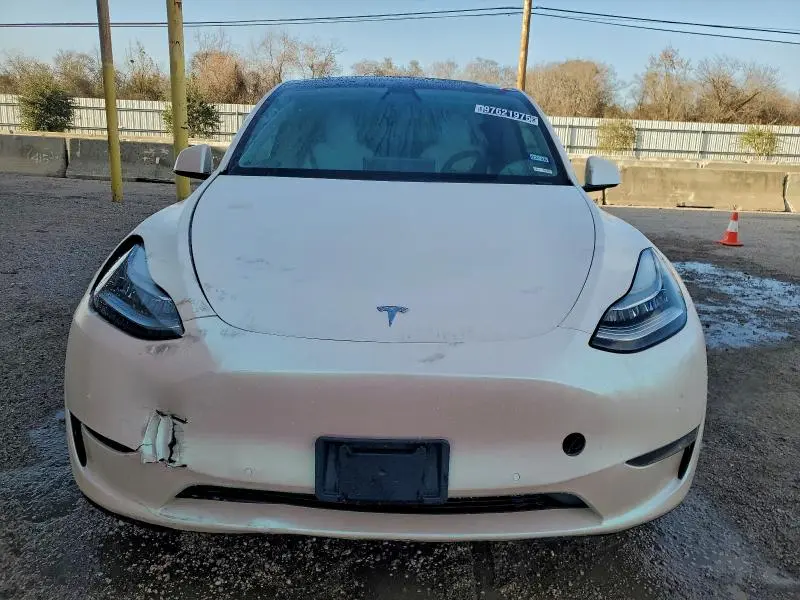 2020 TESLA MODEL Y   