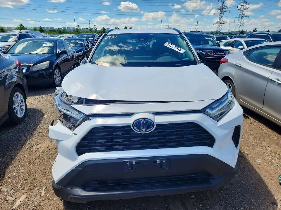 2024 TOYOTA RAV4 LE  