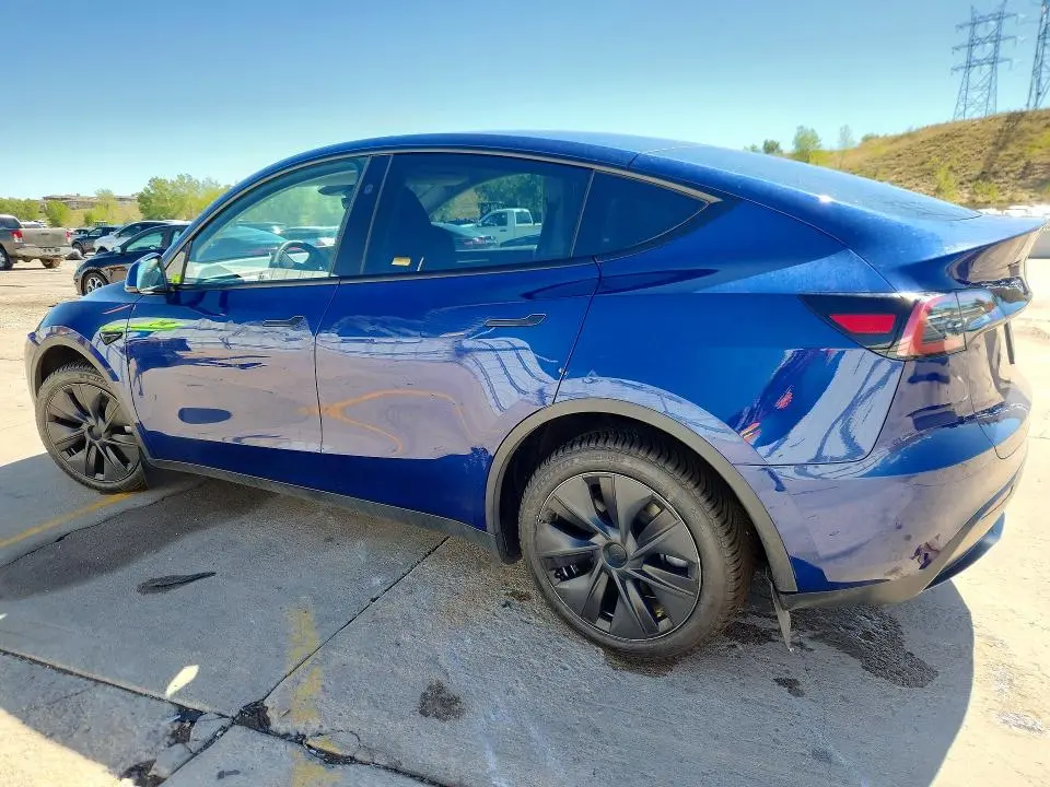 2025 TESLA MODEL Y   