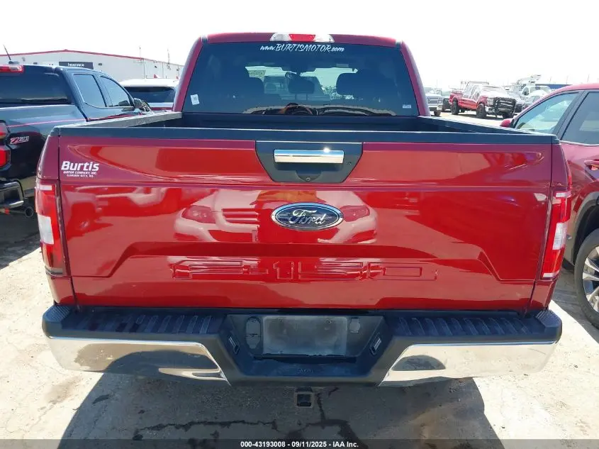 2019 FORD F-150 XLT