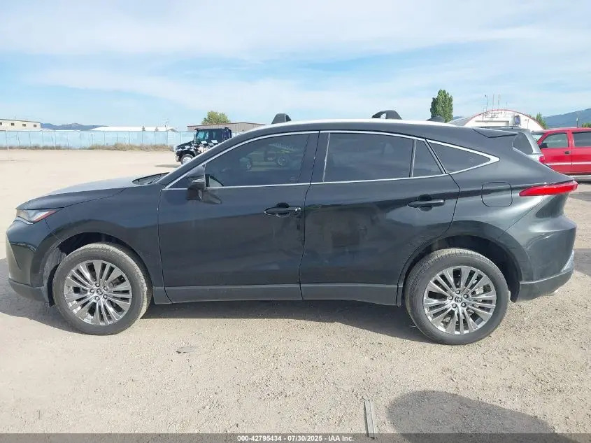 2024 TOYOTA VENZA XLE