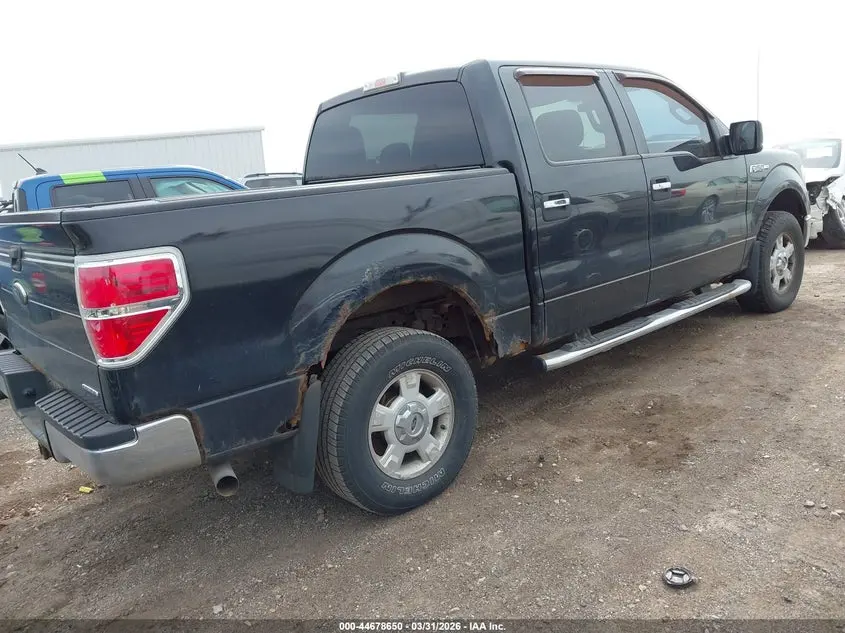 2013 FORD F-150 XLT