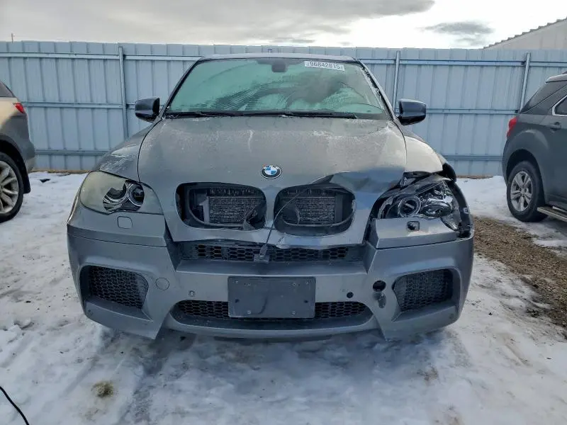 2010 BMW X5 M  